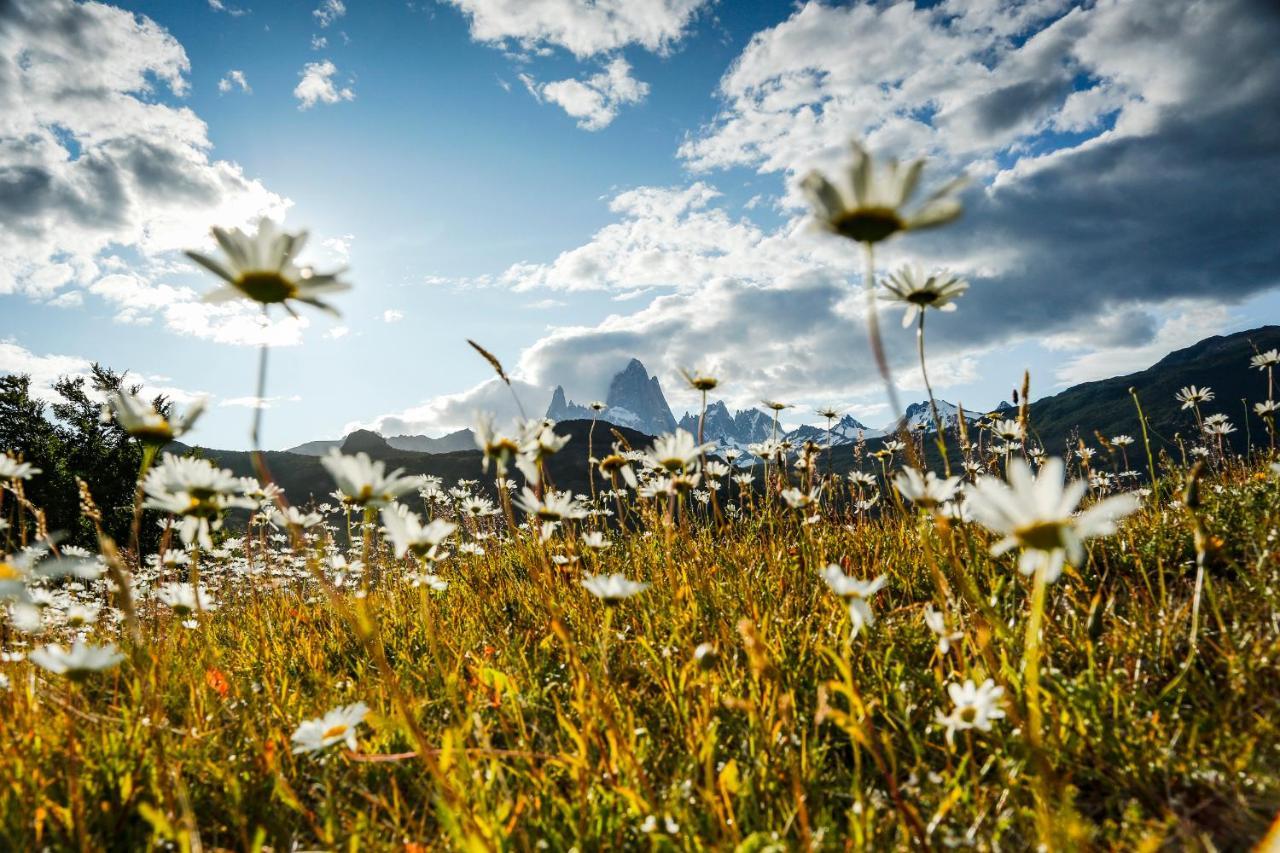 Chalten Camp - Glamping With A View El Chaltén Exterior foto